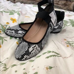 Urban outfitters ballerina flats